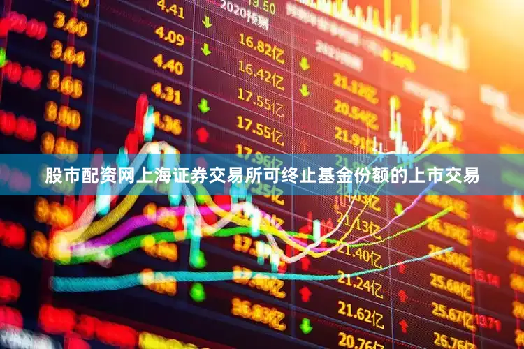 股市配资网上海证券交易所可终止基金份额的上市交易