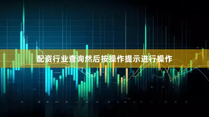 配资行业查询然后按操作提示进行操作