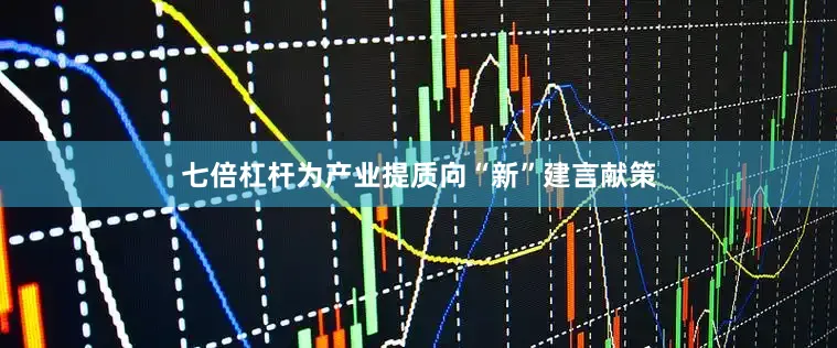 七倍杠杆为产业提质向“新”建言献策